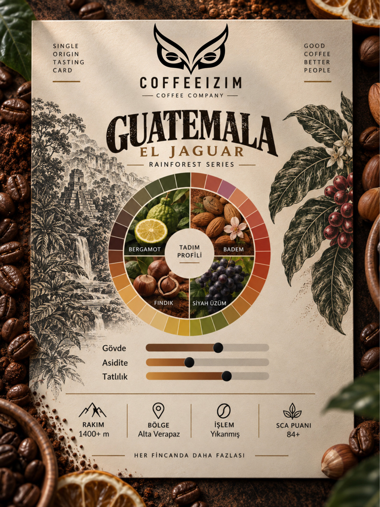 GUATEMALA EL JAGUAR | Rainforest Series