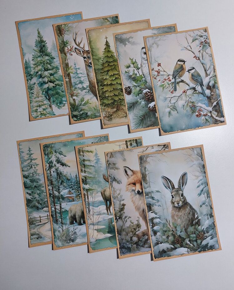Winter land paper