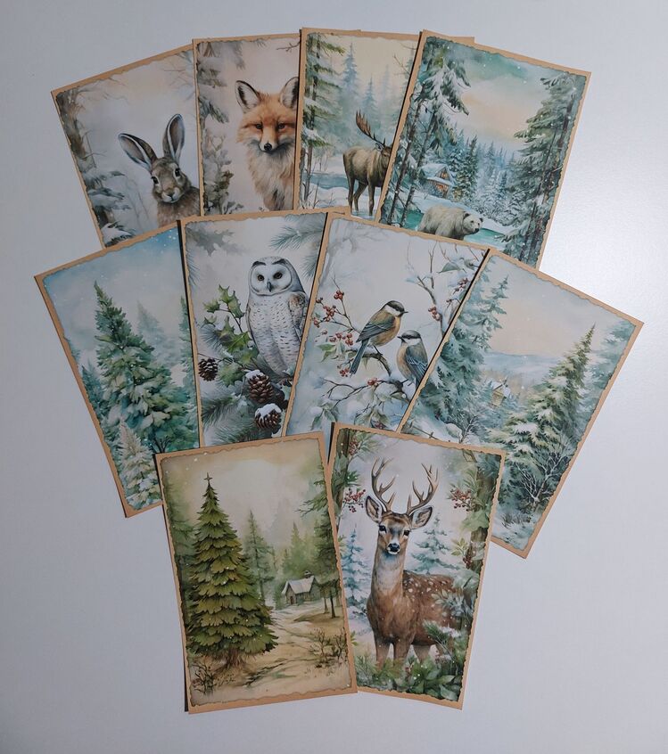 Winter land paper