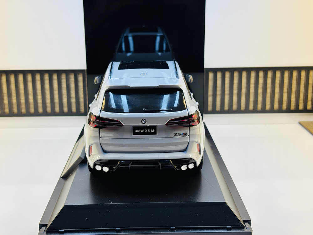BMW X5M