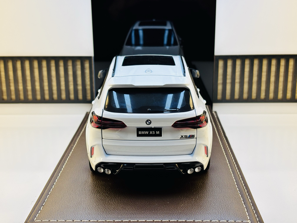 BMW X5M