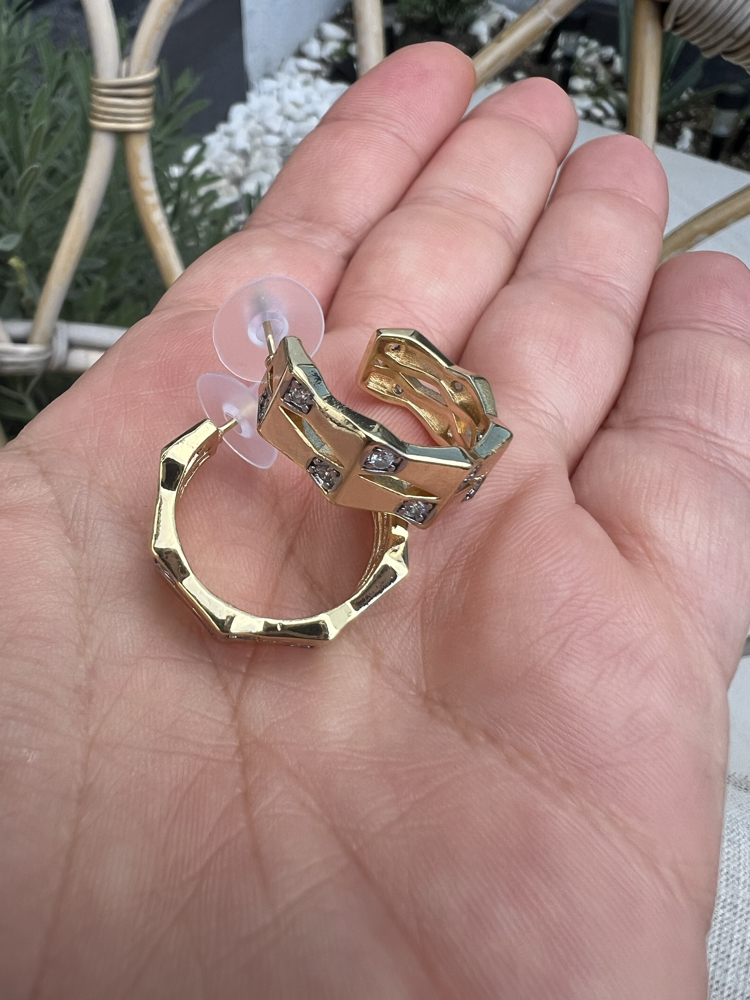 Double earring