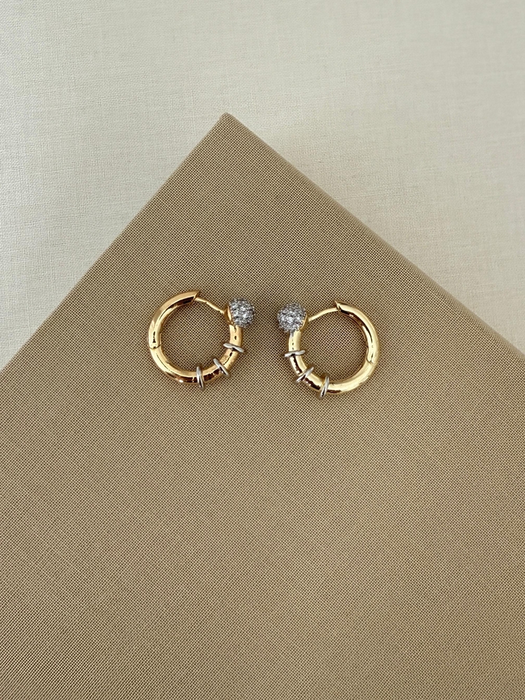 Circle rebel earring