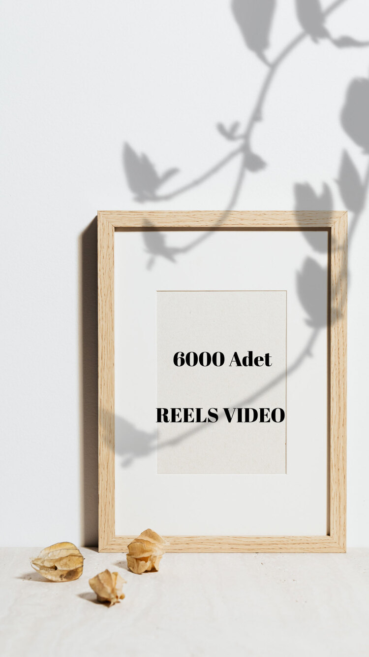 6000 Adet Hazır Reels Video