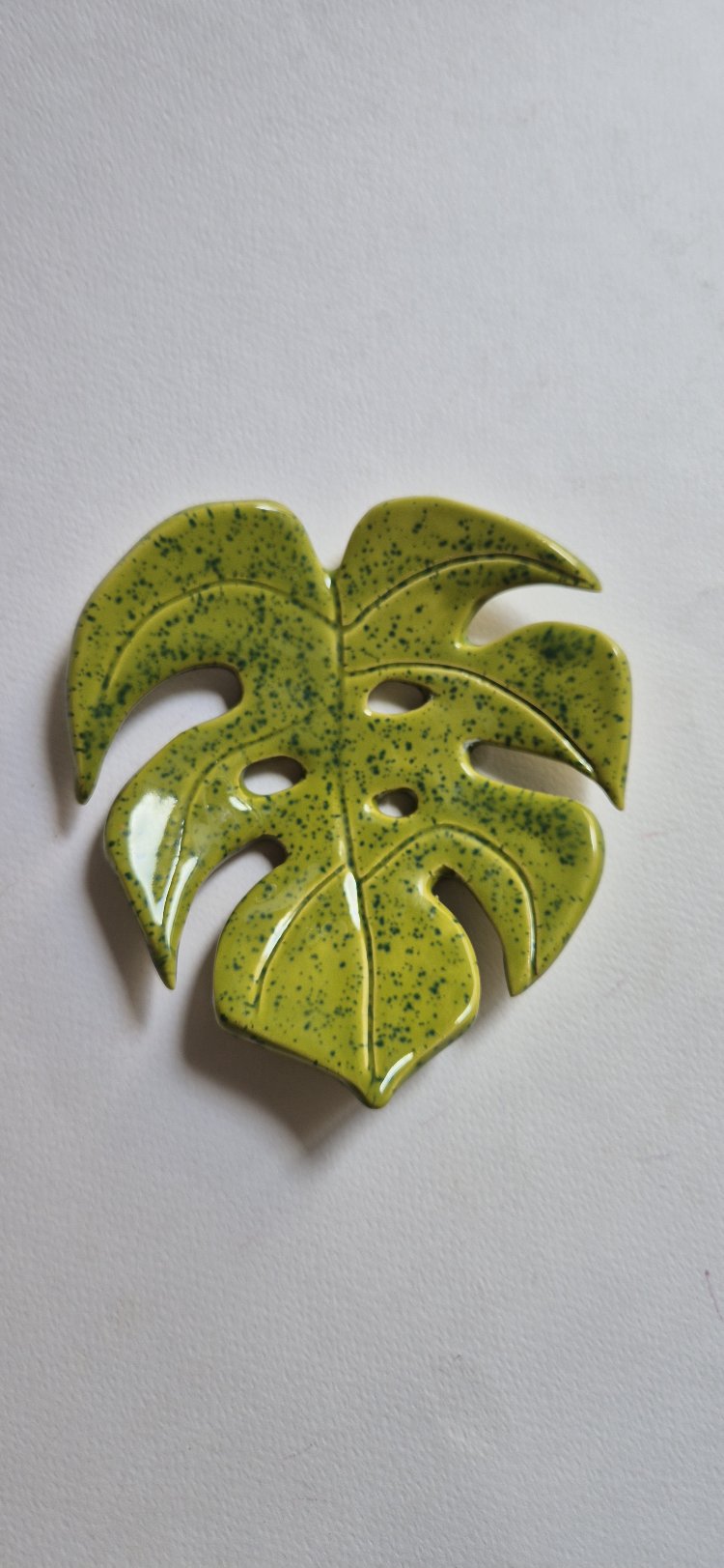 Monstera Sabunluk /Tabak