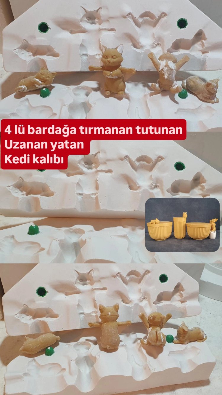 4 lü kedi kalıbı