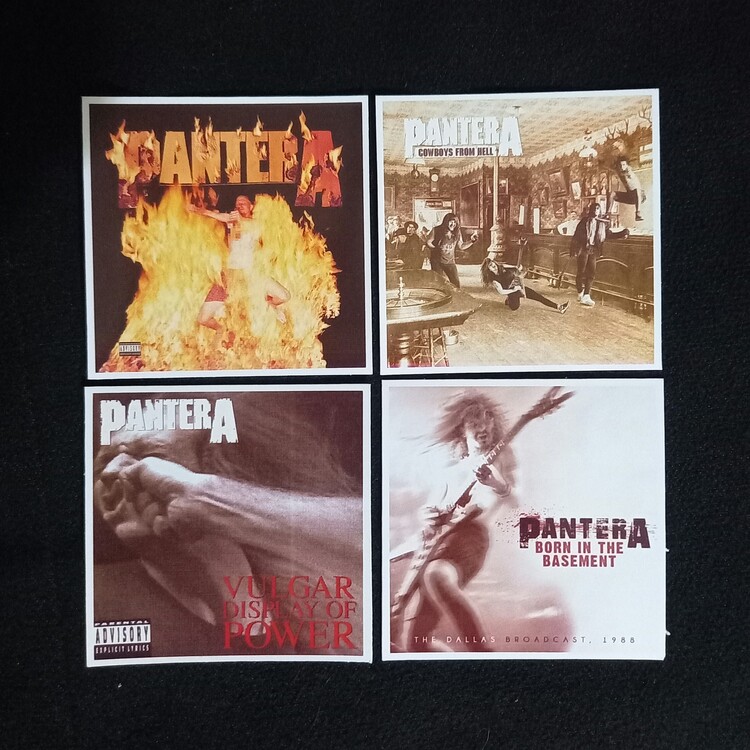 Pantera Fotokart Sticker Seti