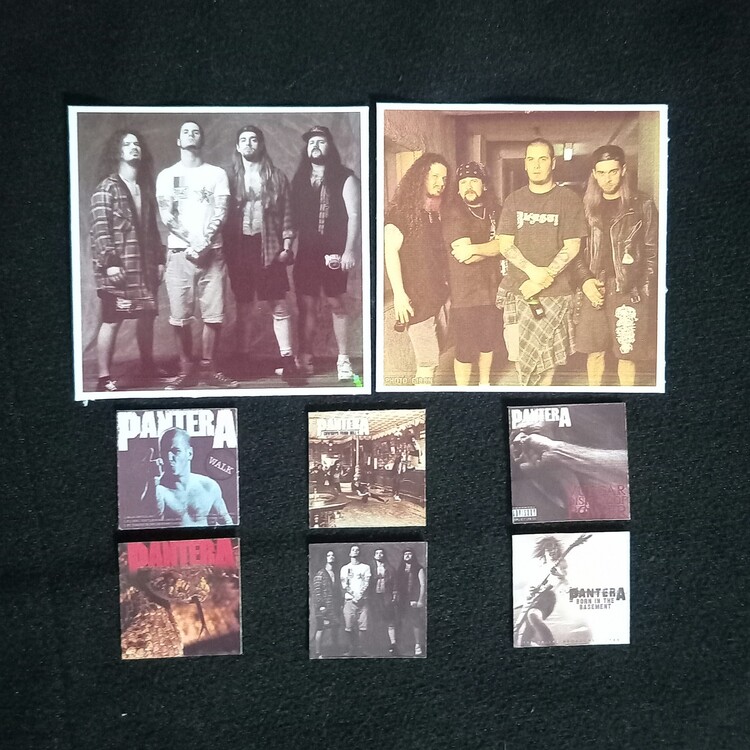 Pantera Fotokart Sticker Seti