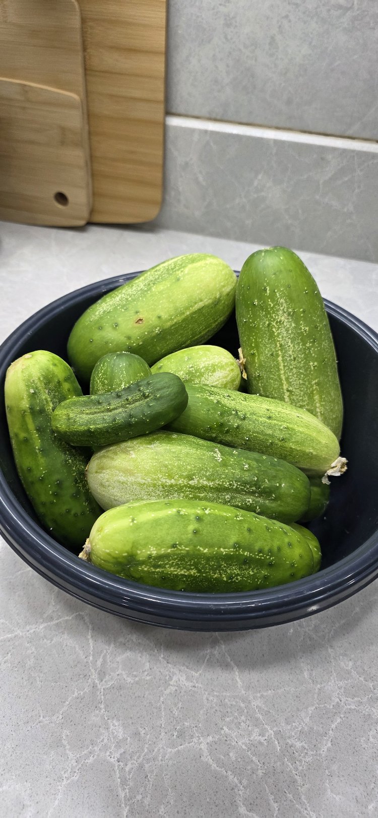Salatalık Grubu