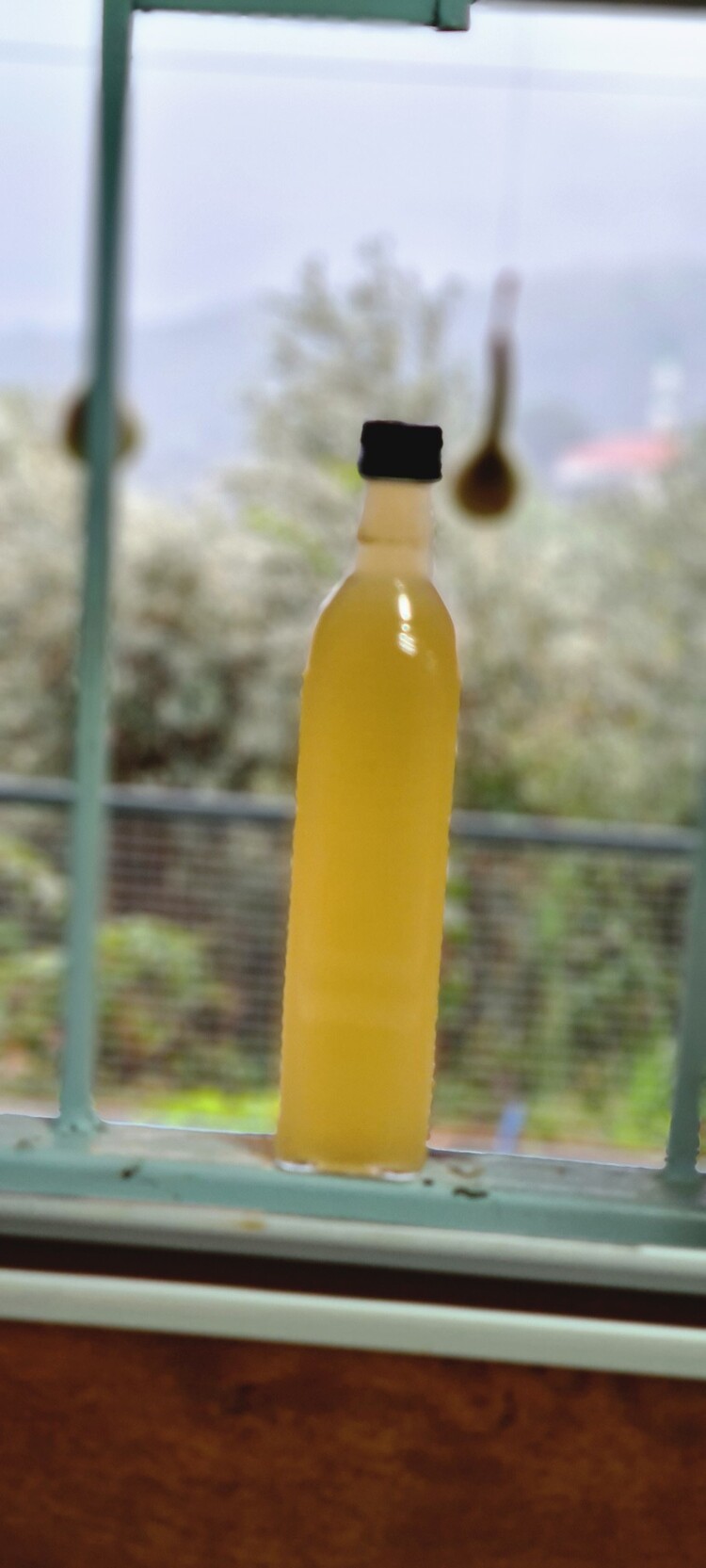ALIÇ SİRKESİ