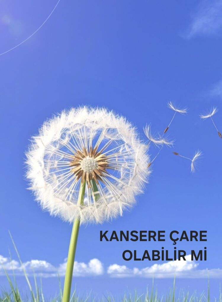 Karahindiba Sirkesi