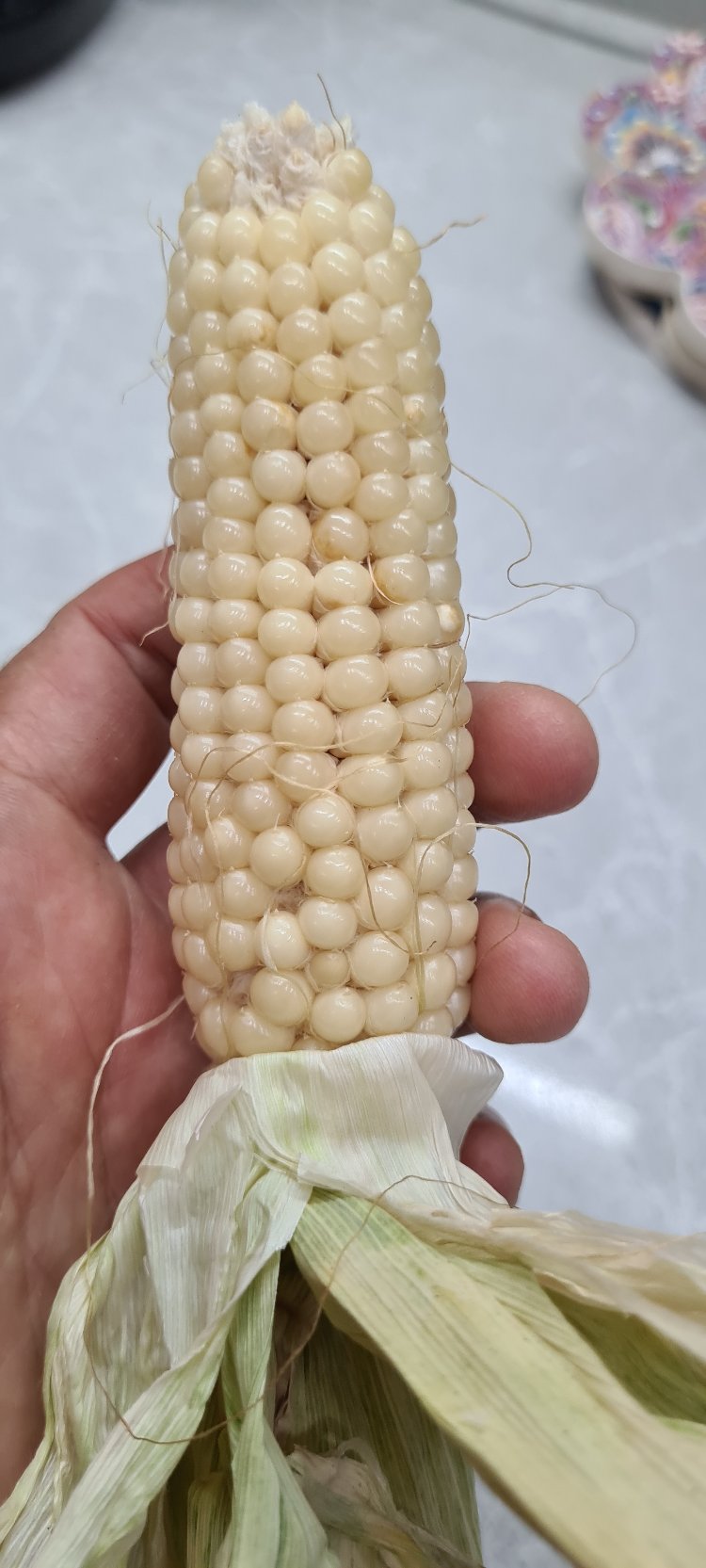 Mısır Grubu
