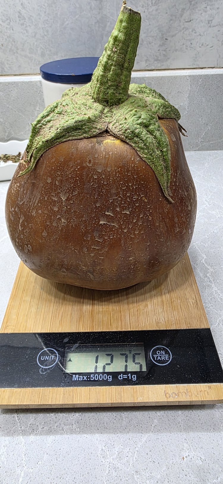 Patlıcan Grubu