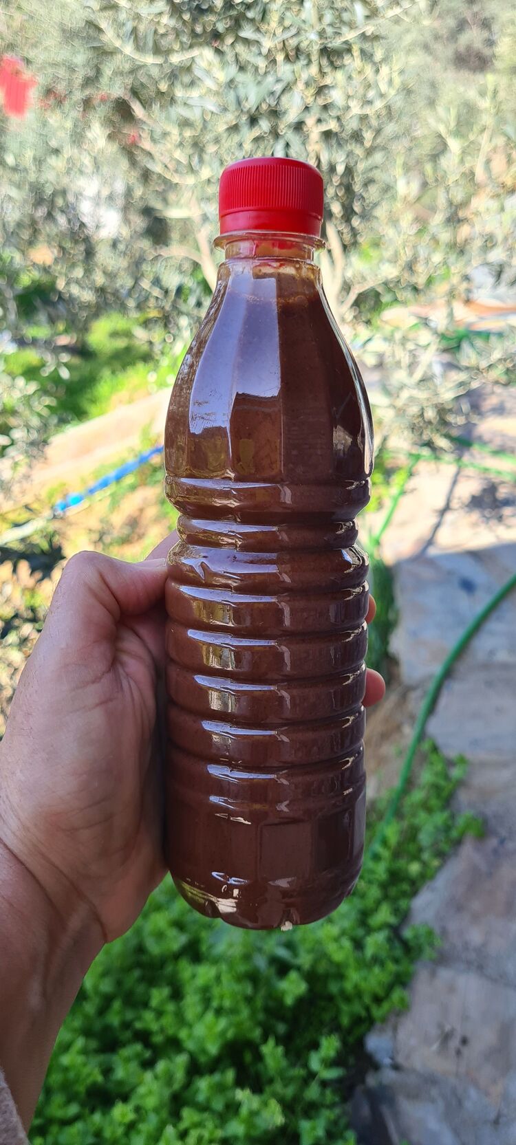 Laktobasil Serum