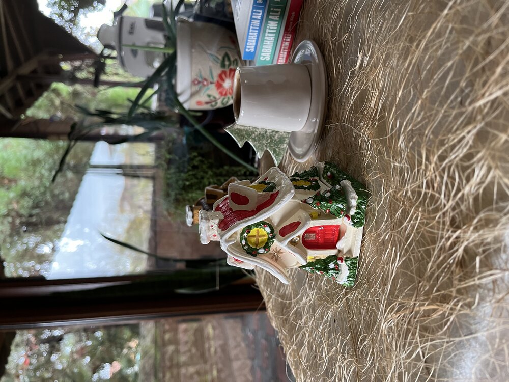 Yeni yıl evi