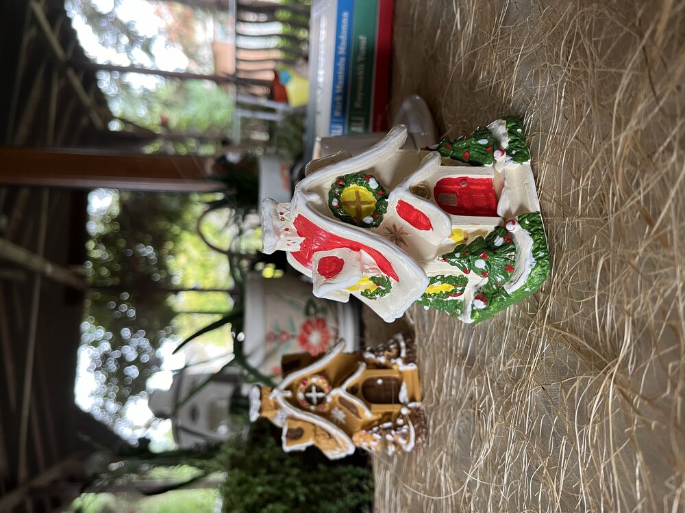 Yeni yıl evi