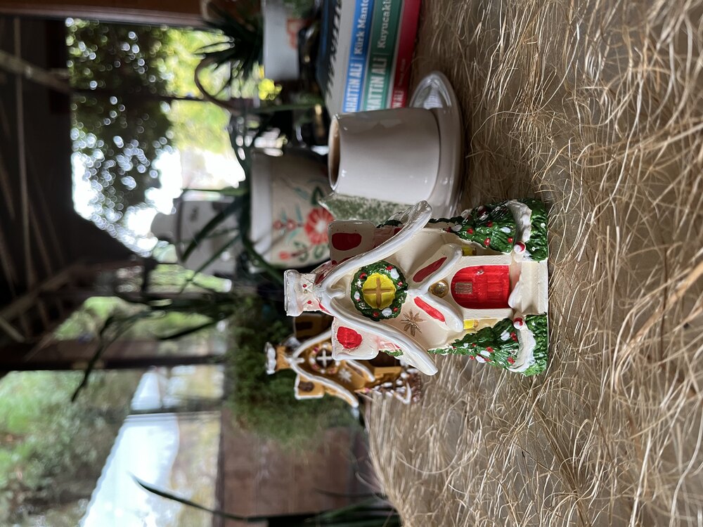 Yeni yıl evi