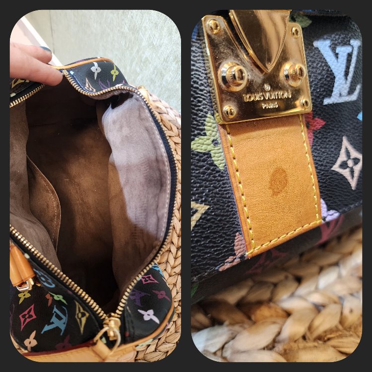 LOUIS VUITTON | Multicolor Speedy
