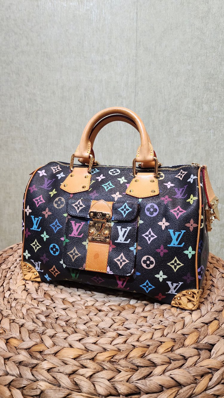 LOUIS VUITTON | Multicolor Speedy