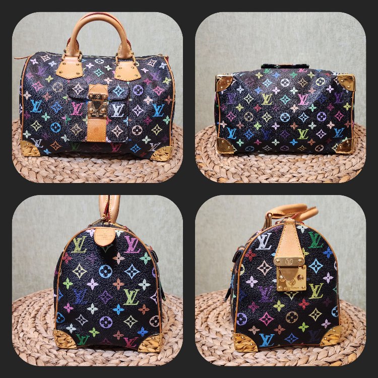 LOUIS VUITTON | Multicolor Speedy