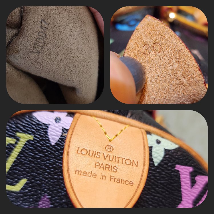 LOUIS VUITTON | Multicolor Speedy