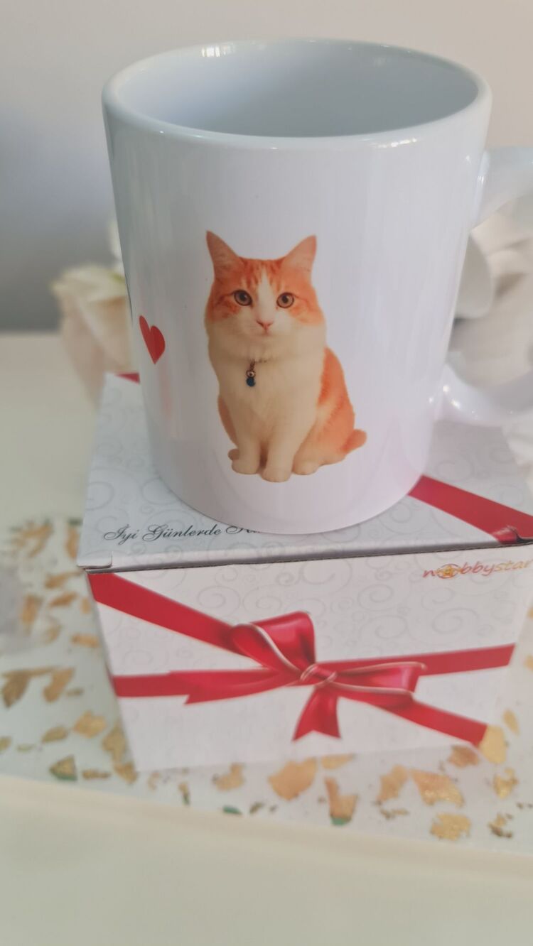Leo baskılı kupa