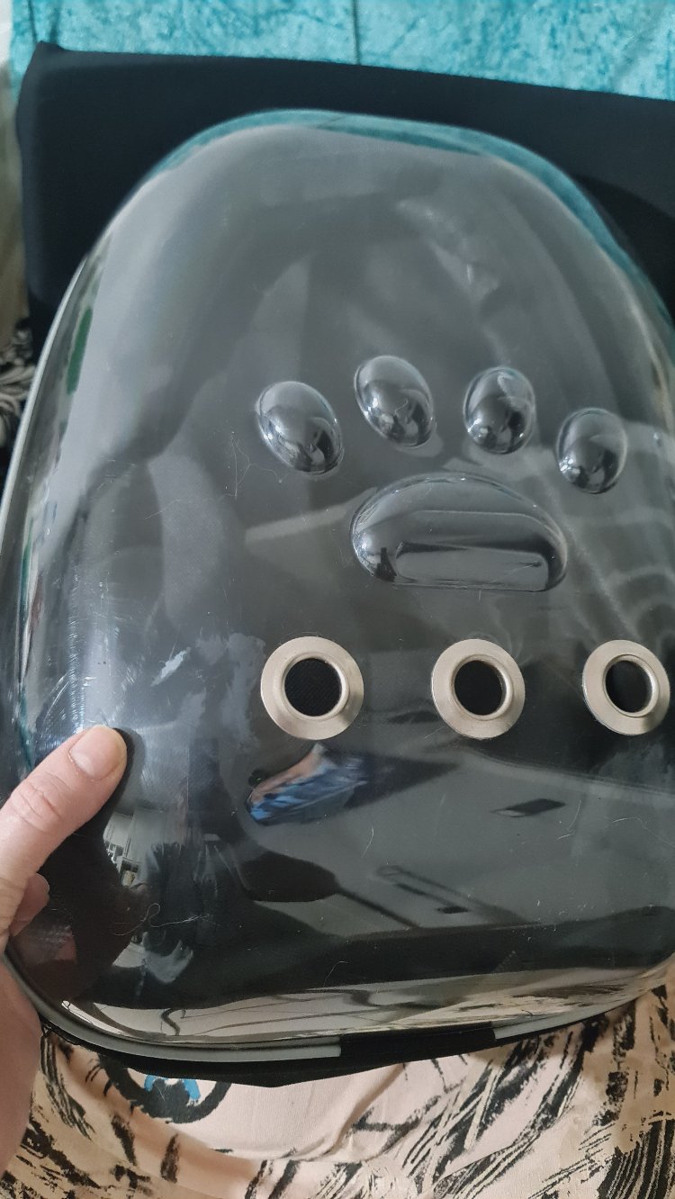 Kedi taşıma çantası