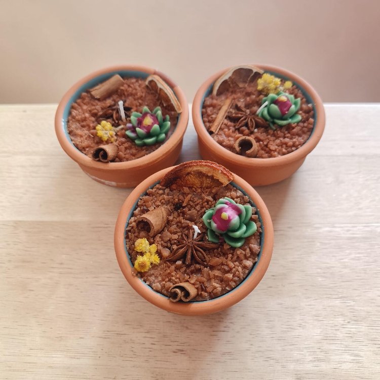 3 lü kaktüs bahçesi konseptli kokulu mum