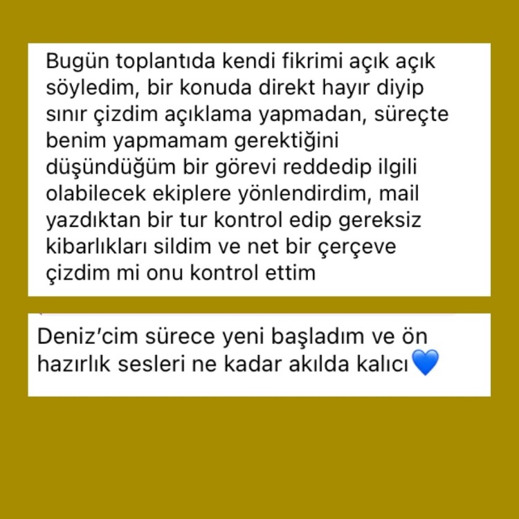 Profesyonel Otoriteni Kur