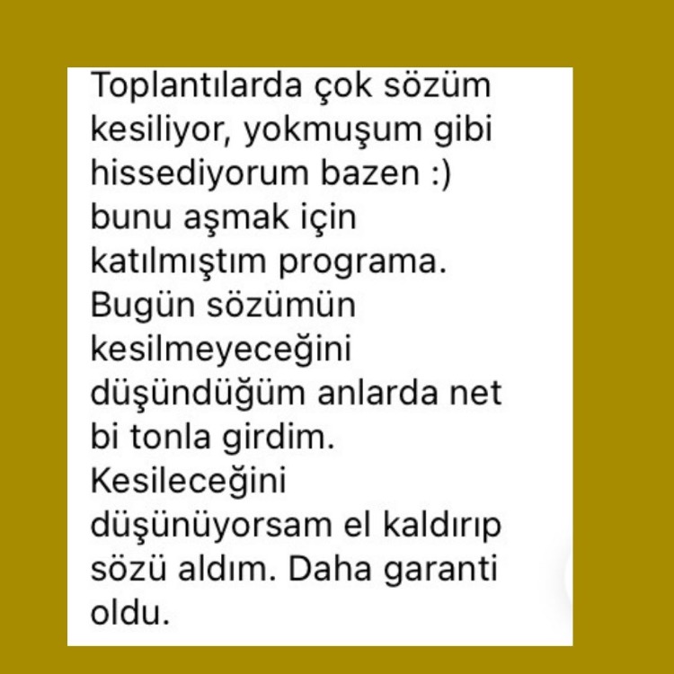Profesyonel Otoriteni Kur