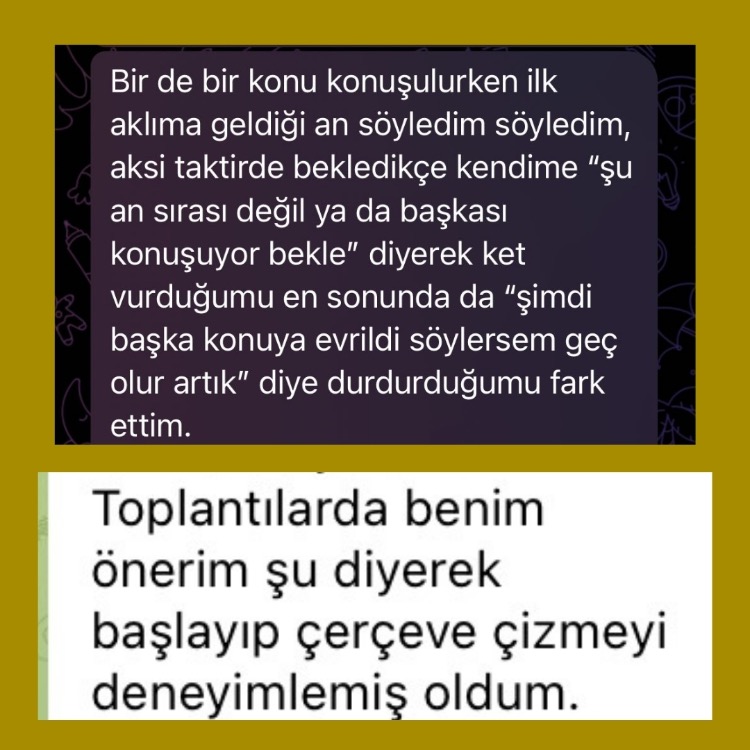 Toplantılarda Ağırlığını Koy