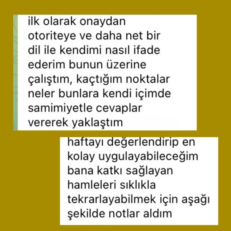 Profesyonel Otoriteni Kur