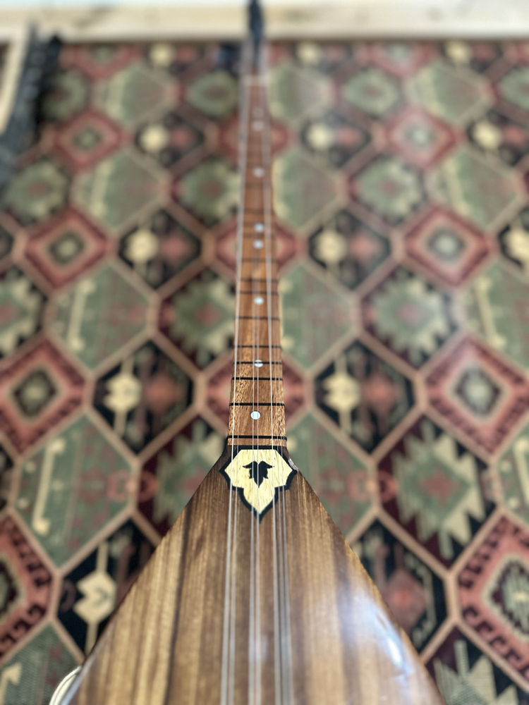 40 Tekne Tam Profesyonel Kısa Sap Bağlama (12 Yıllık Kanada Kapak - Kuru Maun Sap)