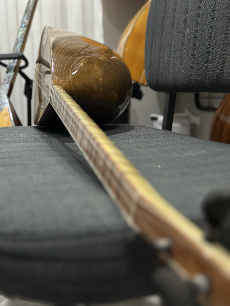 Tam Profesyonel Oyma Dut Bağlama (18 Yıllık Kurumuş Tekne / Kanada Kapak)