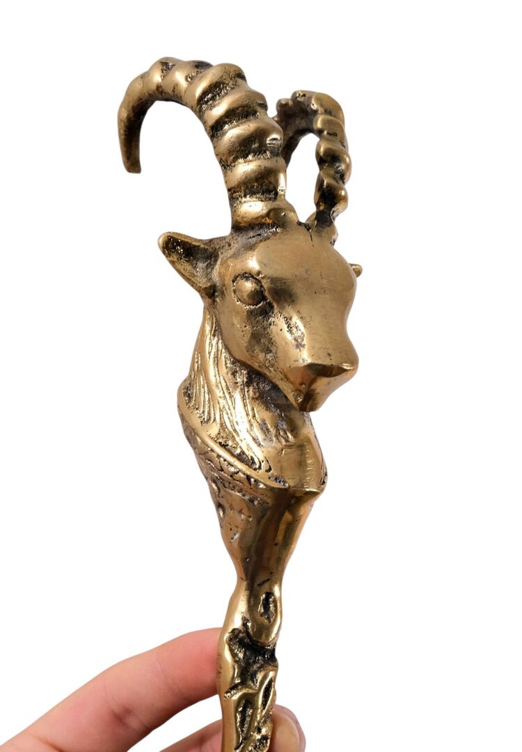 pirinç ayakkabı çekeceği (koç başı )