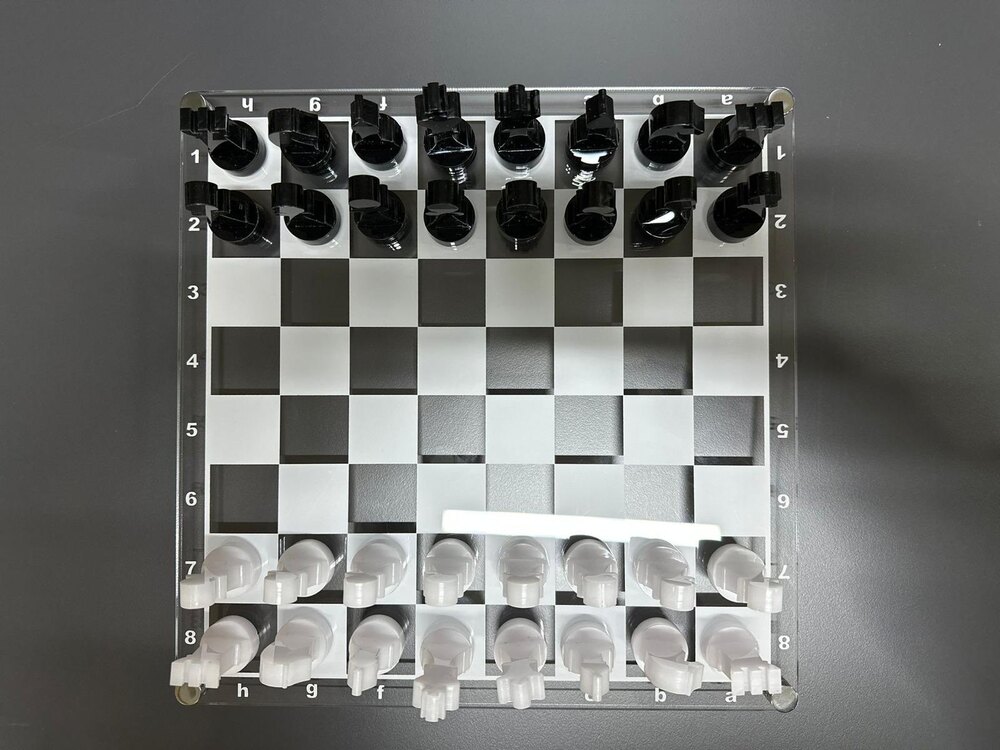 30X30 BJK TARAFTAR SANTRANÇ TAKIMI