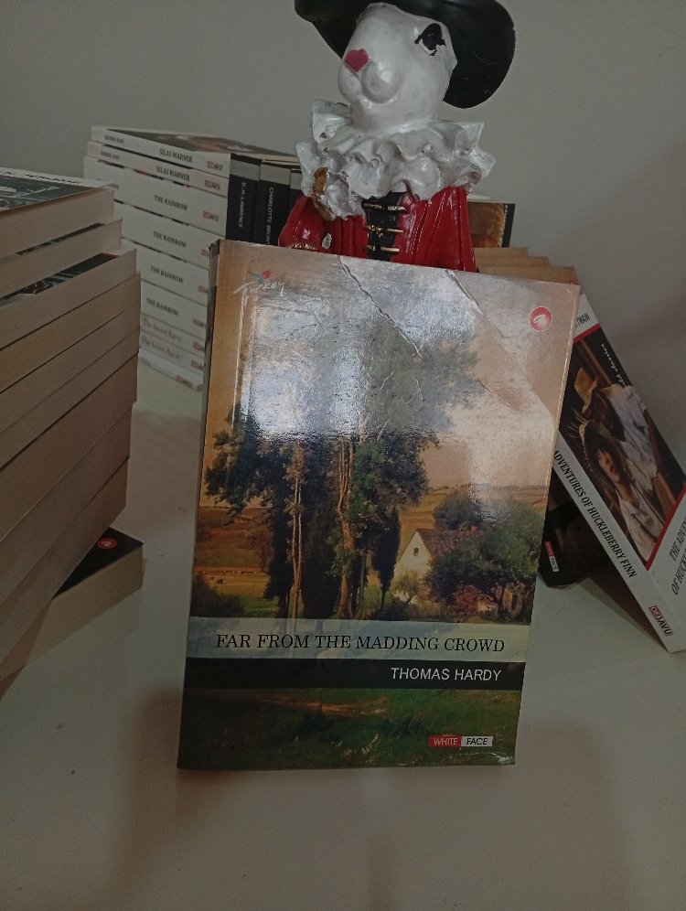 Far From the Madding Crowd