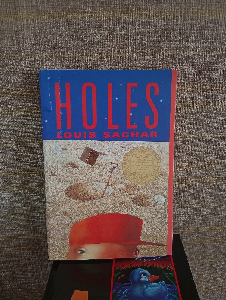 İngilizce Roman- Holes