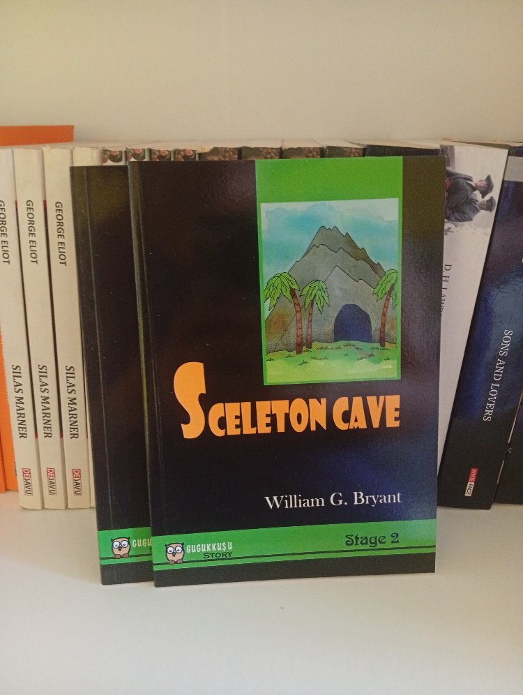 A2 Seviye Sceleton Cave