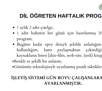İngilizce Öğreten Günlük Program