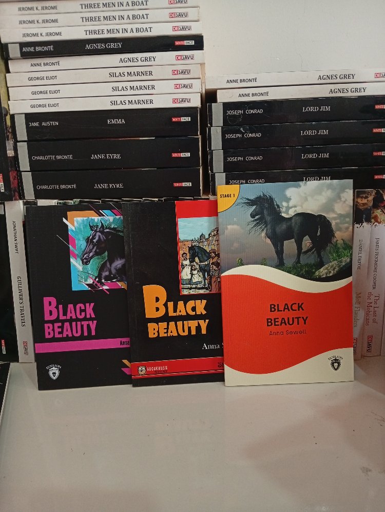 Black Beauty- A1 Seviye İngilizce Okuma Kitabı