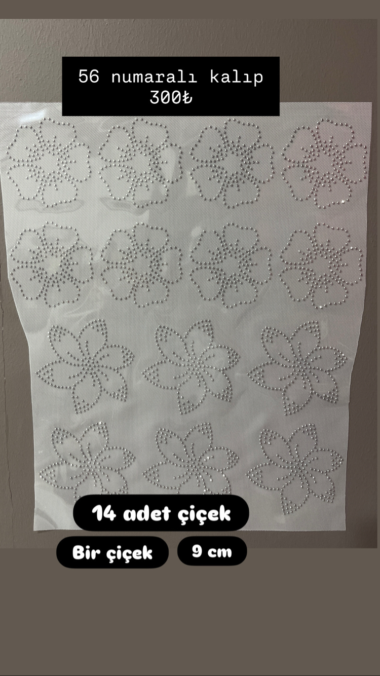 56 numara 