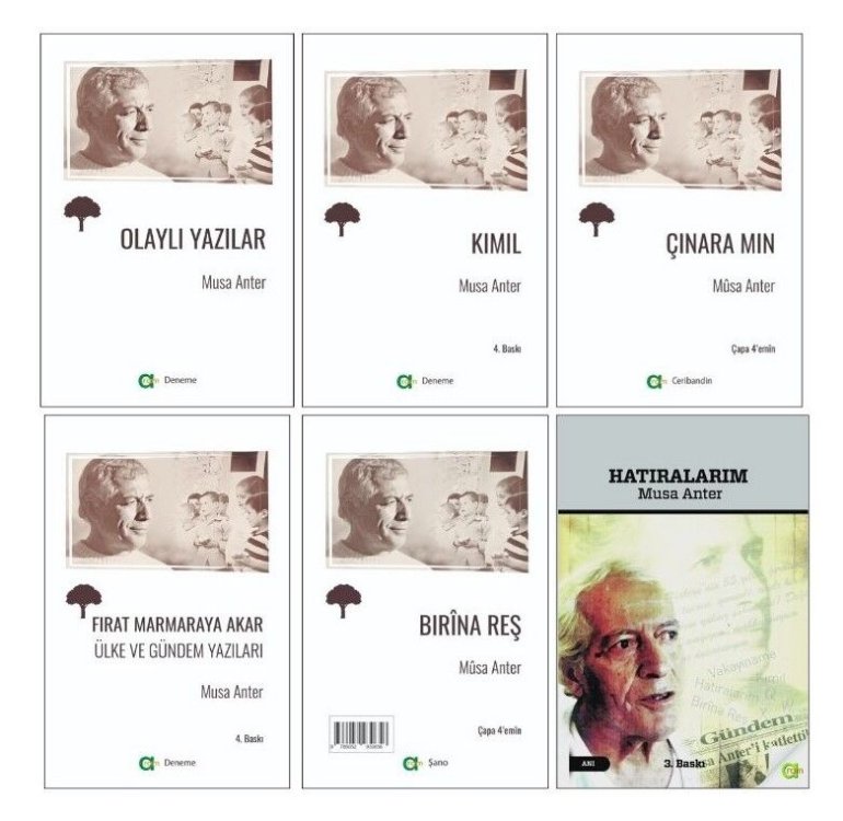 Musa Anter Seti (6 Kitap)