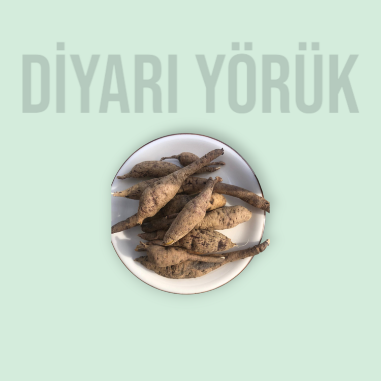 Çiriş 