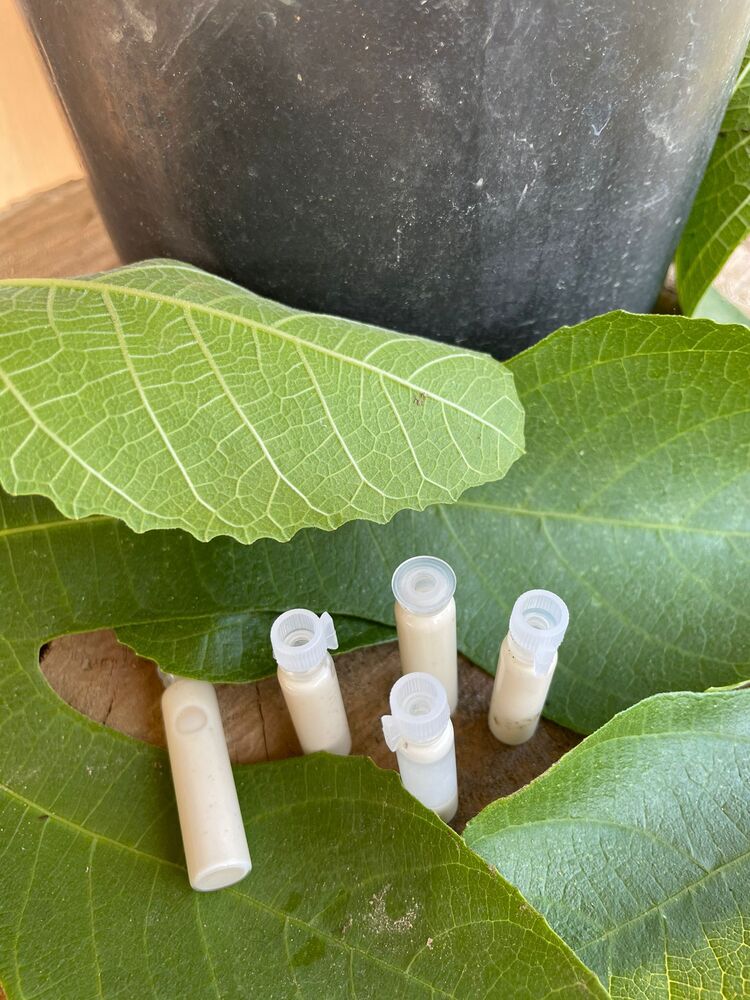 Saf incir sütü 50 ml