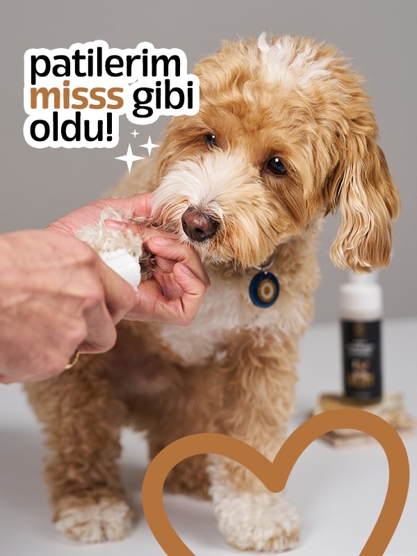 DOKU PATİ TEMİZLEME VE BAKIM KÖPÜĞÜ