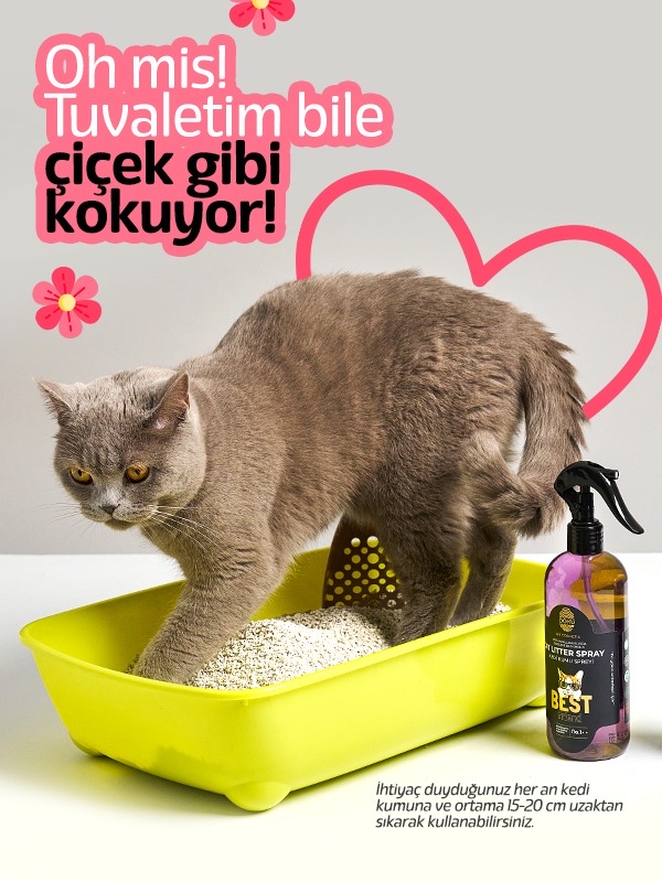 DOKU KEDİ KUMU KOKU GİDERİCİ SPREY