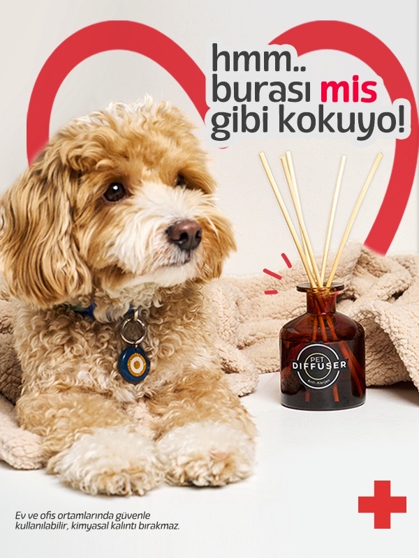 DOKU EVCİL HAYVANLI ORTAMLAR İÇİN ODA KOKUSU ANTİALERJEN