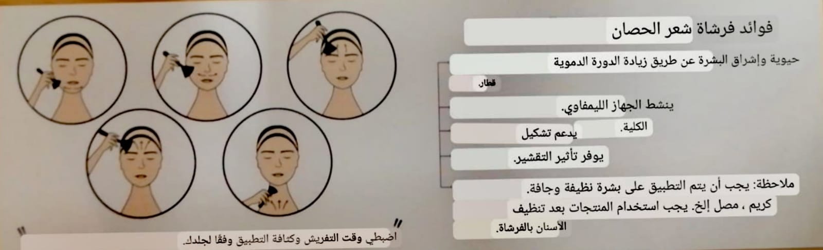 DR.DEVALI %100 AT KILI YÜZ FIRÇASI