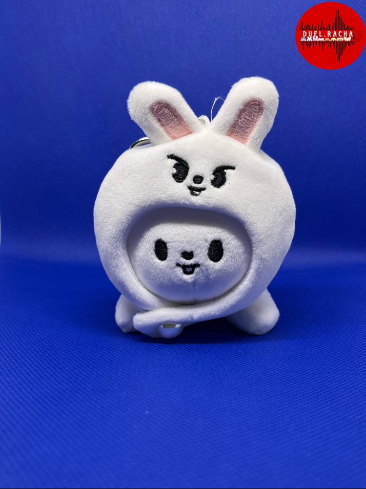 Skzoo keyring lying vers Leebit